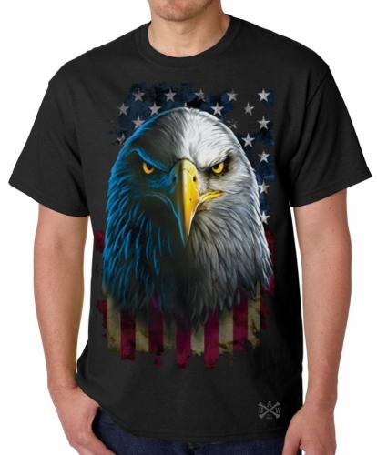 American Eagle Stare T-Shirt