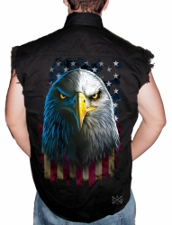American Eagle Stare Sleeveless Denim Shirt